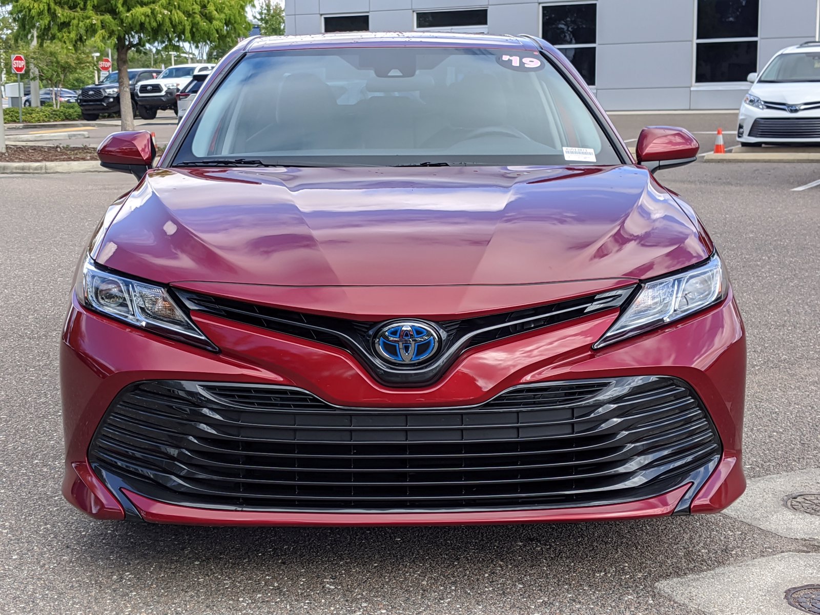 2019 Toyota Camry Hybrid Se For Sale